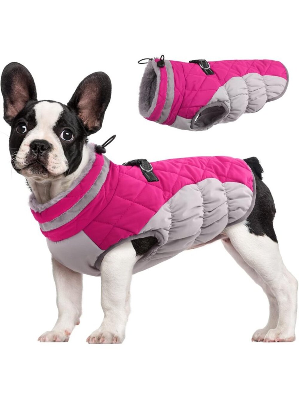 Cozy Fleece Dog Winter Jacket for Small Dogs with Harness - Warm Pet Coat